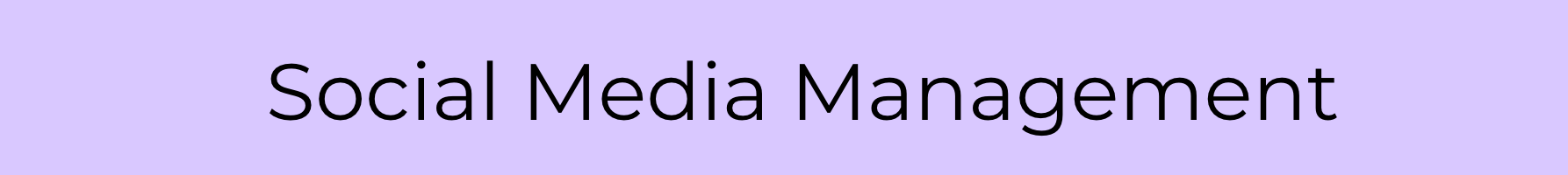 2. Social Media Management